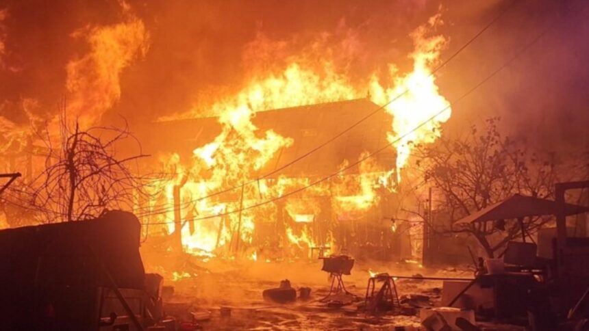 iad dezlantuit in curtea unui batran din suceava gospodaria facuta scrum dupa un incendiu nimicitor video 69a0b2eedf7a1