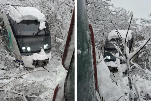 imagini socante de pe ruta bucuresti urziceni trenul circula cu 10 km h prins intre copaci si troiene uriase video 6995840807d1f