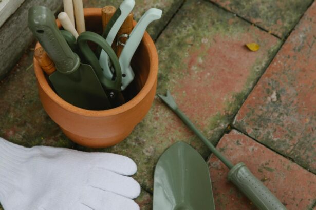 lucrari de gradinarit specifice lunii februarie cum sa ti pregatesti corect gradina pentru noul an agrar 6992ff9207a82