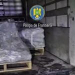 migranti descoperiti intr un camion cu numere turcesti oprit pe dn5 in urma unei actiuni de tip blitz 6983625c22da4