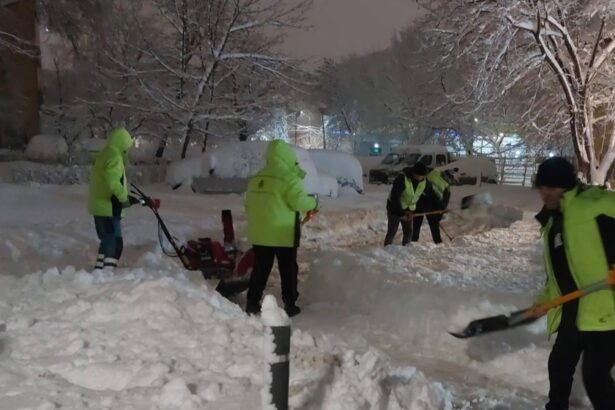 minora electrocutata in sectorul 6 dupa ce un copac plin de zapada a cazut peste firele electrice 69960bf221151