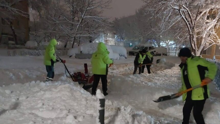 minora electrocutata in sectorul 6 dupa ce un copac plin de zapada a cazut peste firele electrice 69960bf221151