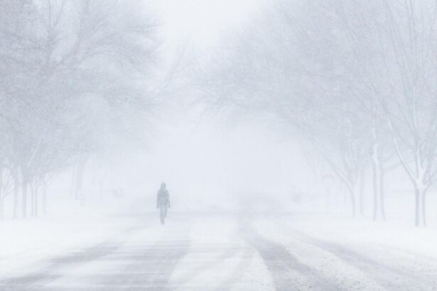 moarte cumplita in statele unite ale americii irina si fiul ei au murit blocati in masina in timpul viscolului 699d8caed55f3