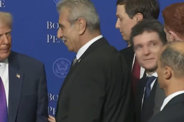 nicusor dan pus la punct de secret service la consiliul pentru pace video 699816a4c7465