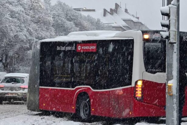 ninsori masive in viena orasul se confrunta cu probleme in trafic mai multe curse spre bucuresti si retur anulate 6998411d33665
