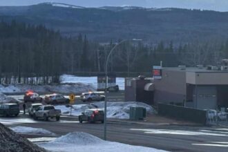 noi detalii in cazul atacului armat din canada noua persoane ucise peste 25 ranite suspecta in rochie s a sinucis 698c71495a964