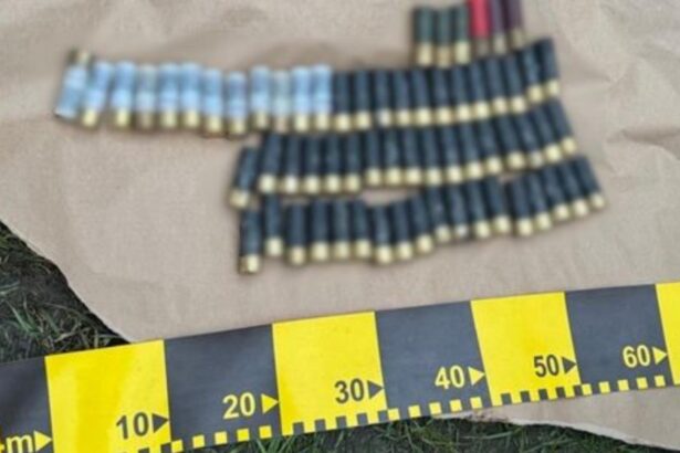 perchezitii in dambovita intr un dosar de introducere ilegala si vanzare de arme din turcia 6989b5b0eafcd