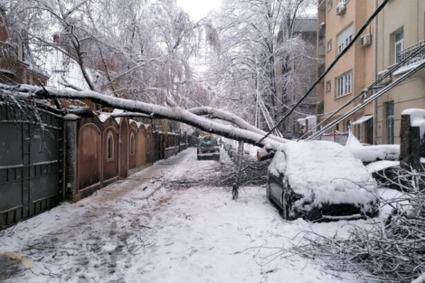 peste 180 de dosare de dauna dupa ninsorile din luna februarie zeci de locuinte si aproape 100 de masini au fost avariate 699c3429ebd0f