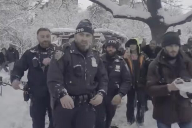 politia a arestat un barbat dupa o bataie cu bulgari de zapada incidentul care a aprins spiritele la new york 69a1e600078b5