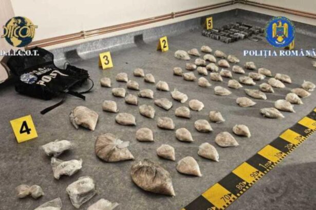 retea de droguri de mare risc destructurata in arges peste 10 kilograme de stupefiante gasite ingropate 699722c905926