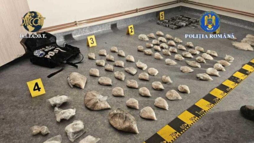 retea de droguri de mare risc destructurata in arges peste 10 kilograme de stupefiante gasite ingropate 699722c905926