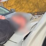 retea de trafic de droguri destructurata de politisti cine facea parte din grupul care aducea in tara stupefiante din america centrala si de sud 69845d0a44763