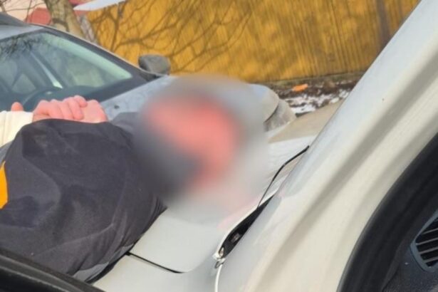 retea de trafic de droguri destructurata de politisti cine facea parte din grupul care aducea in tara stupefiante din america centrala si de sud 69845d0a44763