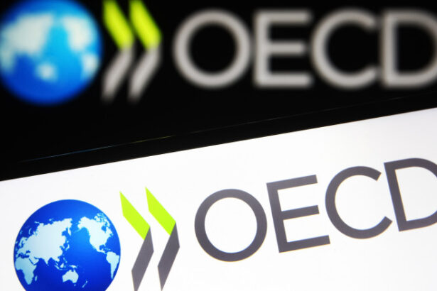 romania a primit avizul formal al ocde pentru afaceri fiscale ministerul finantelor un pas major in procesul de aderare 698af705c5a44