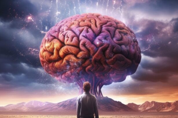 studiul care demonstreaza diferentele dintre creierul fetelor si al baietilor inca din viata intrauterina care este principala deosebire 698ecf4a5c46a