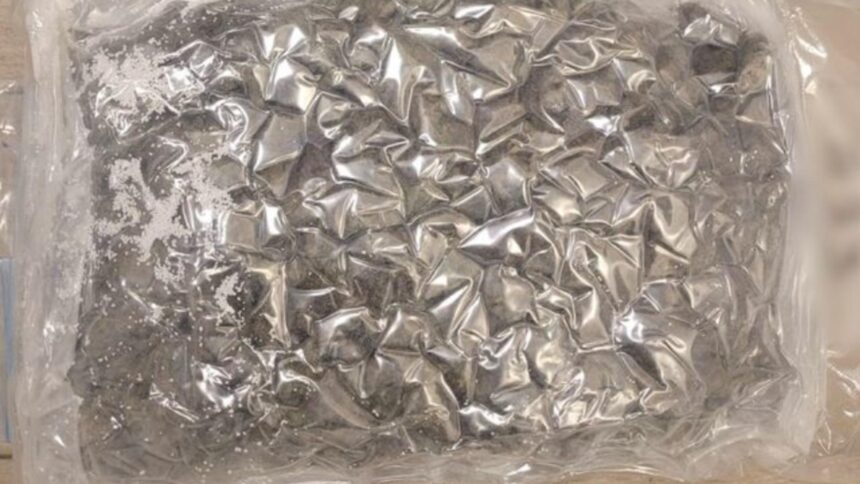 tanar arestat la iasi dupa ce a ascuns pachete cu canabis si cocaina in mai multe locuri acasa avea un adevarat depozit 6991969607737