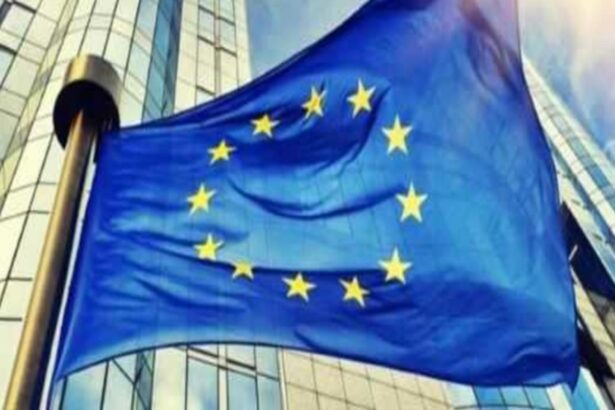 ue vrea sa creeze o aplicatie pentru combaterea hartuirii online victimele vor putea raporta abuzurile in siguranta 698c2c50d050e