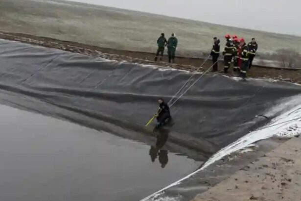 un barbat a murit dupa ce a cazut intr un lac artificial din judetul alba medicii nu au mai putut face nimic video 6994316ecce37