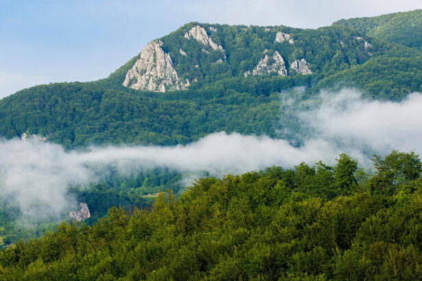 video zacaminte de minerale rare descoperite in apuseni o companie canadiana a gasit uraniu cobalt si nichel 69837bff142a2
