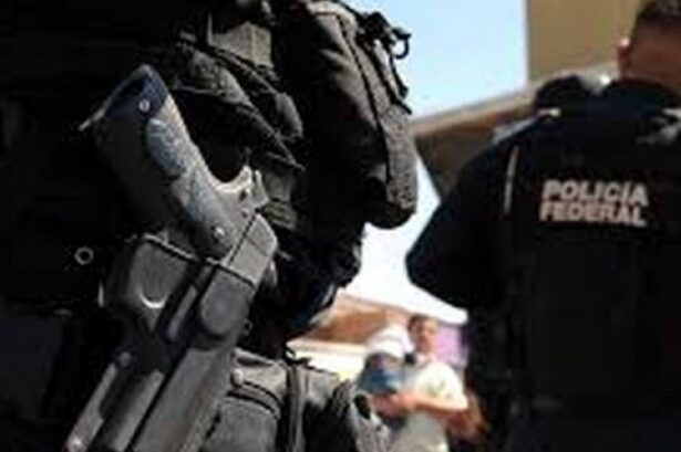 violente in mexic dupa ce armata a ucis un baron al drogurilor mai multe curse aeriene au fost anulate 699bed73853a9