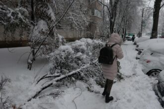 viscolul a paralizat tara drumuri inchise pene masive de curent si transport paralizat 6996a0b4c8f5d