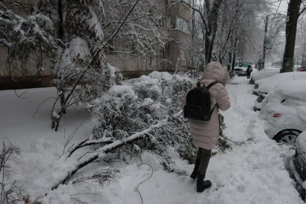 viscolul a paralizat tara drumuri inchise pene masive de curent si transport paralizat 6996a0b4c8f5d