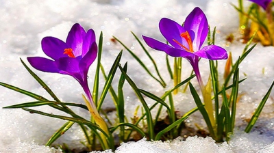 zile insorite si temperaturi in crestere mai ales in sud si estul romaniei cum va fi vremea pana la mijlocul saptamanii 69a00439a225a