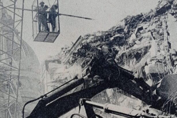 cutremurul din 4 martie 1977 securitatea trimite agenti sa traga cu urechea printre ruine si sa inabuse orice critica la adresa regimului documente 69a7ed61341ba