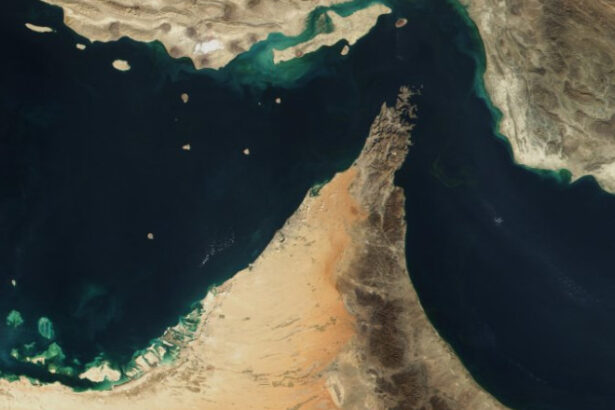 efectul neasteptat pe care criza din stramtoarea ormuz l ar putea avea asupra uneia din marile puteri mondiale 69a92f9cc4535