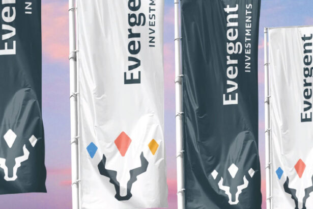 evergent investments anunta un rezultat net record de 378 milioane lei si convoaca adunarile generale ordinara si extraordinara 69c4be6ac8434