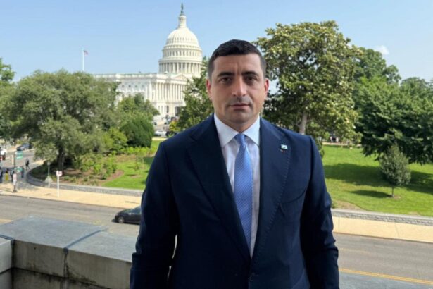 george simion nu ne trebuie armele nucleare ale lui macron vrem alegeri libere democratie si pace 69a9a99b78094