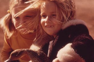 kids raised in the 1970s almost always have 9 specific skills that younger generations will probably never learn 69aa13b7464eb