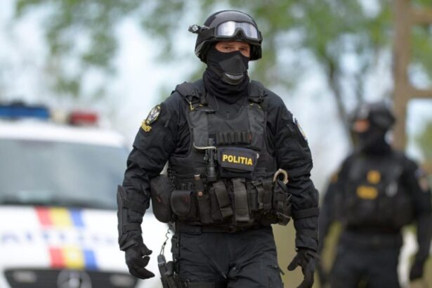 perchezitii in patru judete inclusiv la sediile unor institutii publice in cadrul unei anchete privind eutanasierea ilegala a cainilor fara stapan 69a923d4a6363