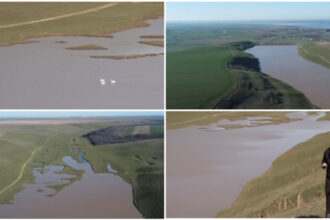 video un lac din olt secat ani la rand s a reumplut dupa ploile si ninsorile din ultimele luni au inceput sa apara si pasarile 69b7214cc2042