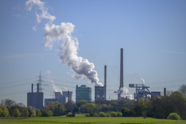 austria a anuntat propriul sistem de subventii pentru energia din industrie guvernul critica birocratia nesfarsita de la bruxelles 69db8a41ab5b8