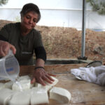branza halloumi in pericol fermierii ciprioti se confrunta cu o epidemie mortala iar solutia depinde de acordul turcilor din nord 69dca82a23a34