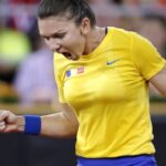 video exclusiv fenomenul fed cup demitizat erau bani foarte multi absentele actuale din echipa romaniei explicate 69ef45828b14d