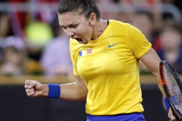 video exclusiv fenomenul fed cup demitizat erau bani foarte multi absentele actuale din echipa romaniei explicate 69ef45828b14d