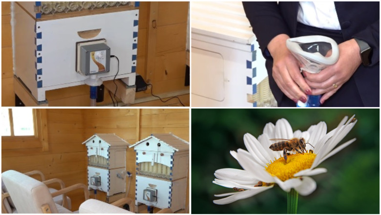 video metoda naturala inovatoare terapia cu aerul din stup judetele din romania unde oamenii pot face apiterapie e foarte benefica 69e8495e29b4f