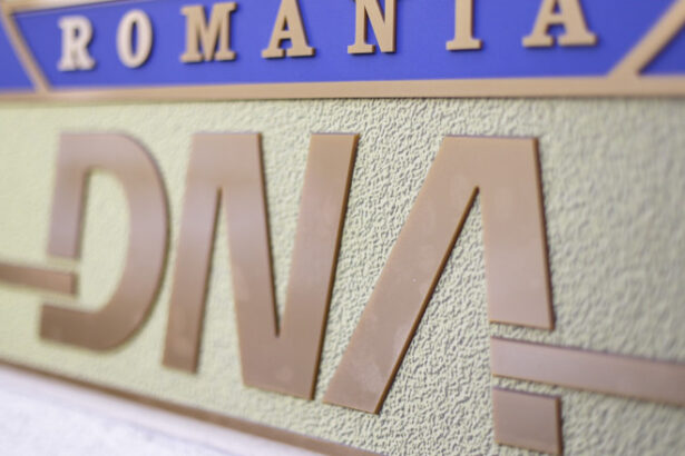 fost secretar de stat al psd din ministerul agriculturii urmarit penal de dna ce acuza procurorii 69fddf958f355