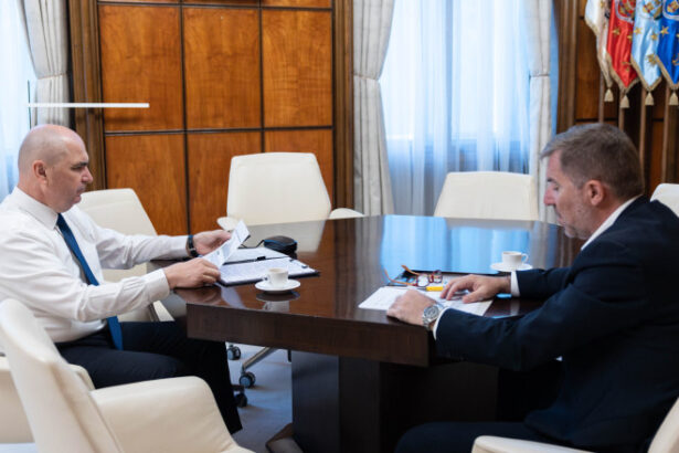 ilie bolojan discutii cu ceo ul dacia despre politici publice care sa sustina reinnoirea parcului auto si dezvoltarea industriei 6a0db3b701dae