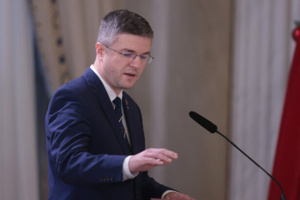 irineu darau avertizeaza asupra folosirii haotice a ai in administratie vom digitaliza pur si simplu birocratia 6a02fd79f343a