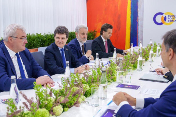 mesajul ucrainei la evenimentul gazduit de nicusor dan la erevan rutele pentru gaz non rusesc sunt singura cale viabila 69f8eda86baf5