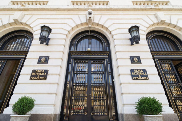 rezervele valutare ale bnr au scazut cu peste doua miliarde de euro intr o luna pe ce s au cheltuit banii 69f8cf3f0f4b2