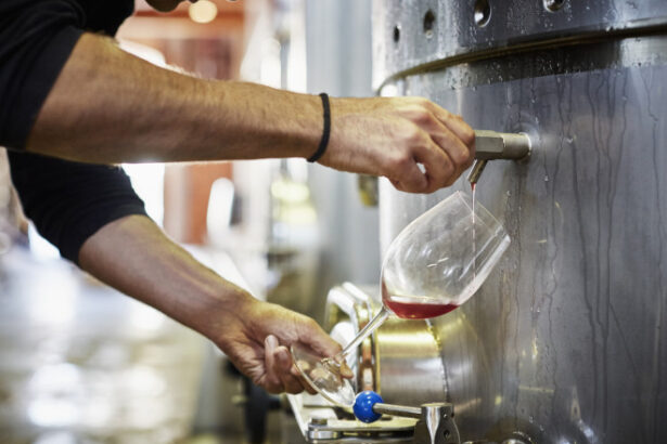 taxele vamale afecteaza comertul global cu vin in 2025 in timp ce romania isi creste productia arata oiv 6a042019eca20