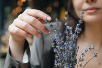 video afaceri profitabile cu miros si aroma de lavanda cum a reusit planta decorativa sa devina astazi ingredient in prajituri si cosmetice 6a00a7e823f74