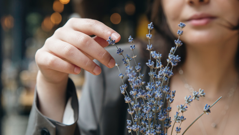video afaceri profitabile cu miros si aroma de lavanda cum a reusit planta decorativa sa devina astazi ingredient in prajituri si cosmetice 6a00a7e823f74