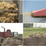 video comuna care transforma resturile vegetale din gospodarii in ingrasamant natural localnicii fac rand la utilajul cumparat de primarie 69f9a2249f48a