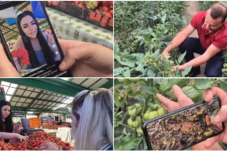 video noul trend printre comerciantii din piete fructe si legume promovate pe retelele sociale cum ajuta clipurile online vanzarile 6a11875c95098