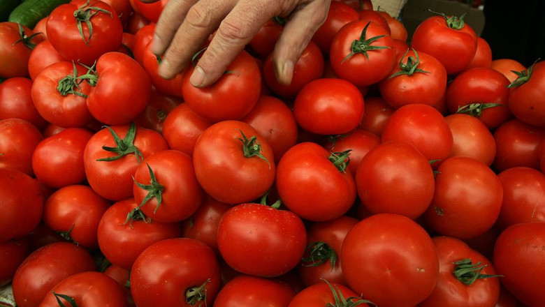 video sunt tratate sa reziste pericolul rosiilor perfecte din piete si supermarketuri cum le putem recunoaste pe cele cu pesticide 6a0be66964145